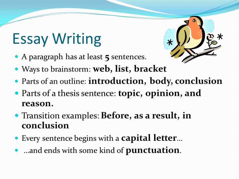 3 parts of writing a paragraph for 2nd